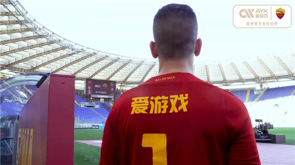 不少专家认